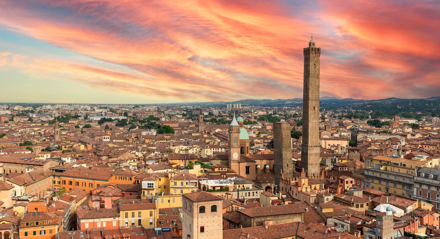 bologna copia